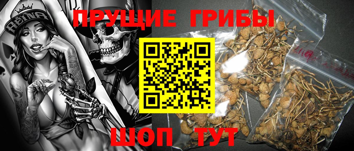 Галлюциногенные грибы Magic Shrooms  Вход с VPN  Ишим 